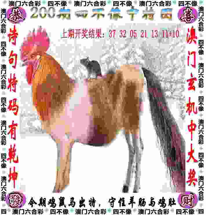 半岛V视｜4月4日晚，主场见！青岛男篮主场升级静待季后赛